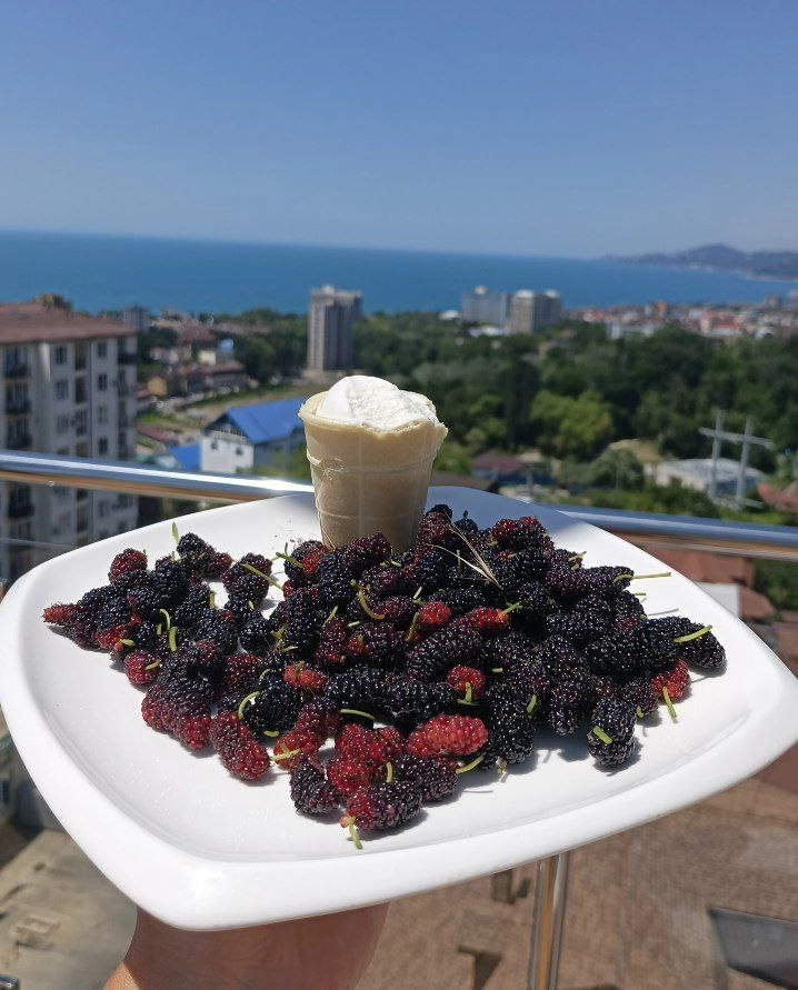Тутовник, шелковица, тютина, тута — сюда🍒
Очень интересная ягодка, которую я впервые попробовал буквально на днях
И всё благодаря сторис: сначала одной подруги, потом другой, потом местных — все жрут ... | Сетка — новая социальная сеть от hh.ru