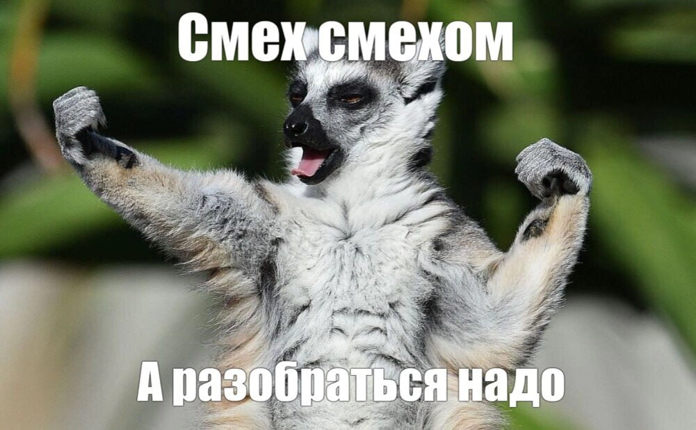 Методологус систематикус | Сетка — новая социальная сеть от hh.ru