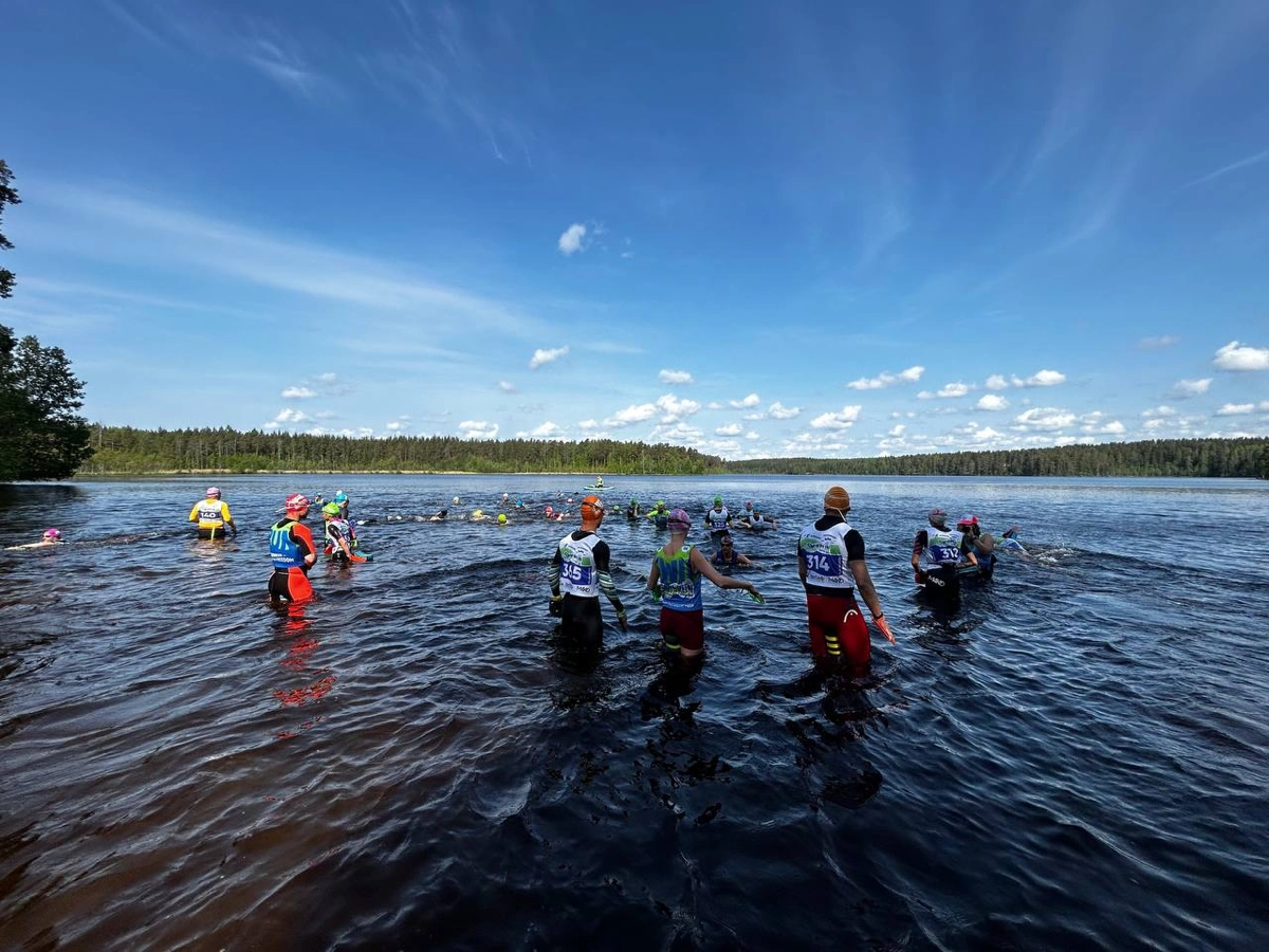 Come on Swimrun | Сетка — новая социальная сеть от hh.ru