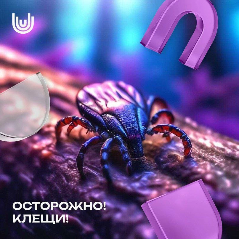 ⭐️ Самый популярный в это время года | Сетка — новая социальная сеть от hh.ru