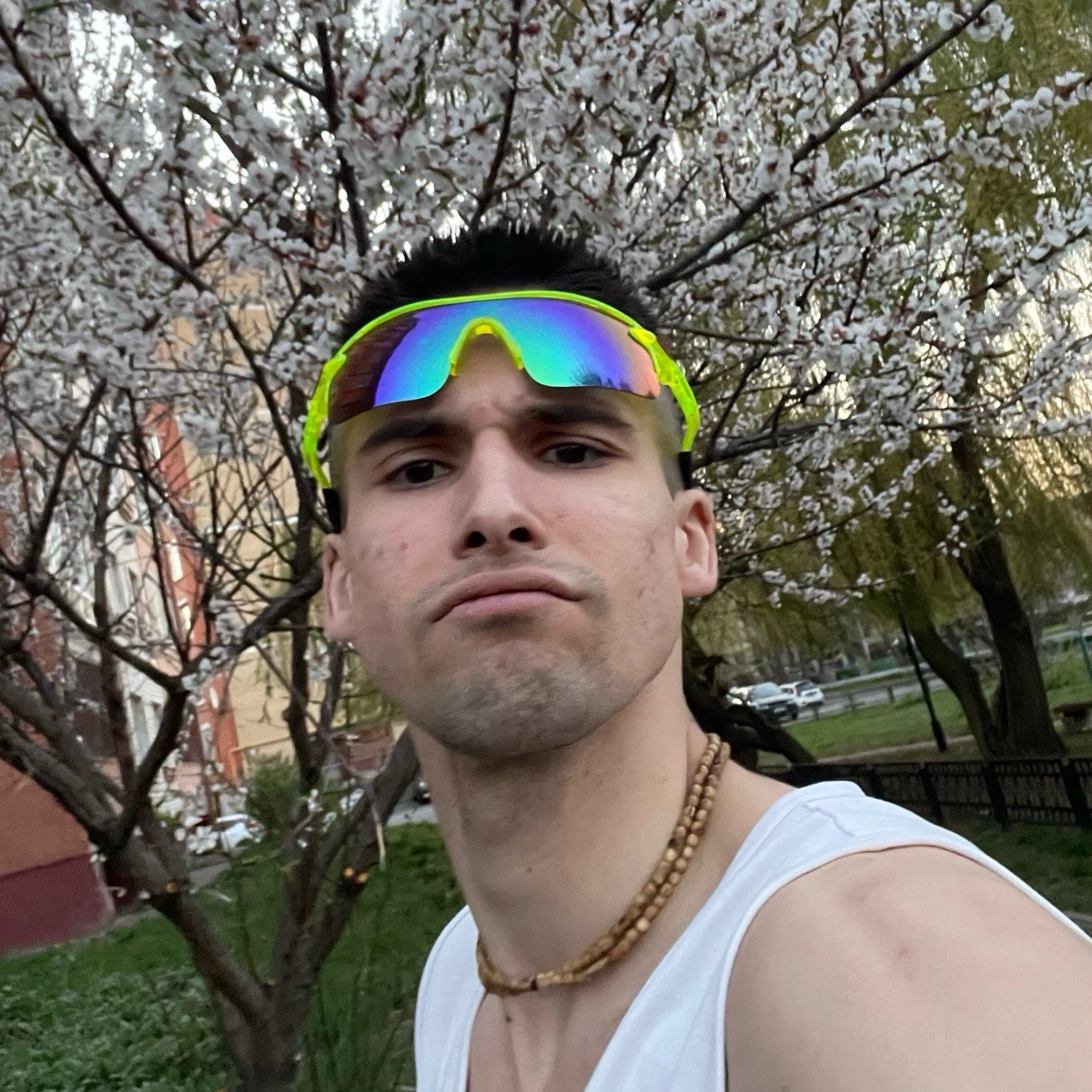 profile avatar