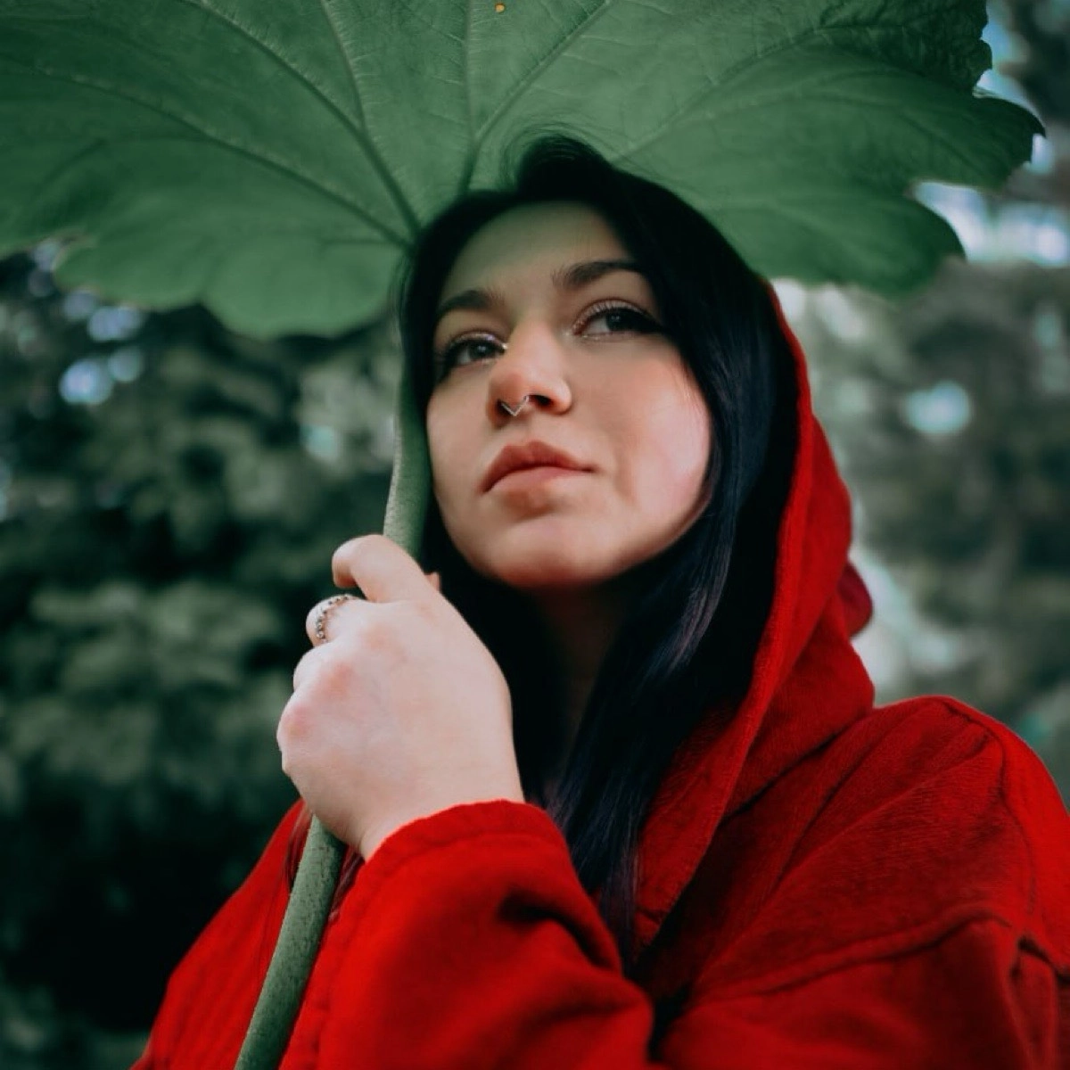 profile avatar