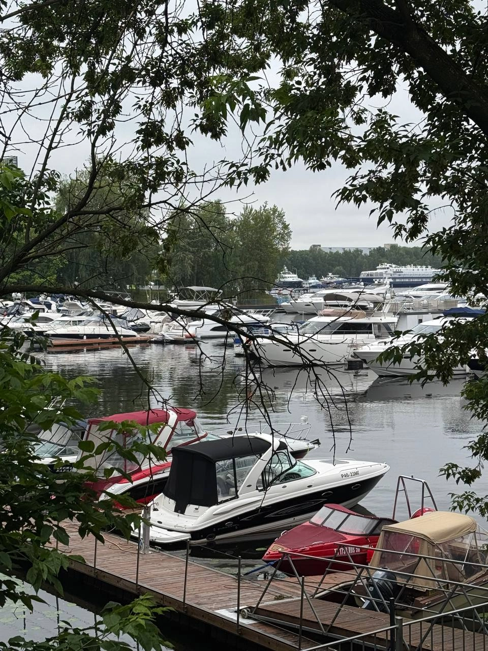 Уважаемые подписчики , всех приветствую 👋 на днях посетил выставку на воде в Москве в RoYAL Yacht Club | Сетка — новая социальная сеть от hh.ru