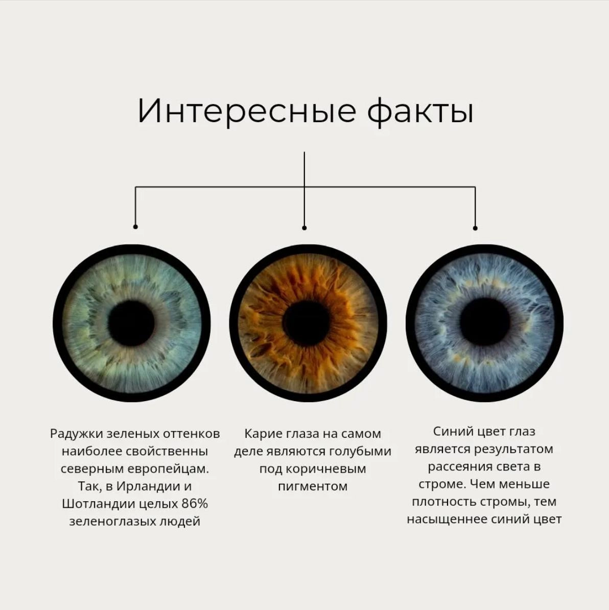 Глаза и тревога
Я родилась блондинкой с голубыми глазами. Такая вот “базовая комплектация”, которая, как я теперь понимаю, нехило так повлияла на то, как я воспринимала себя и свою жизнь | Сетка — новая социальная сеть от hh.ru