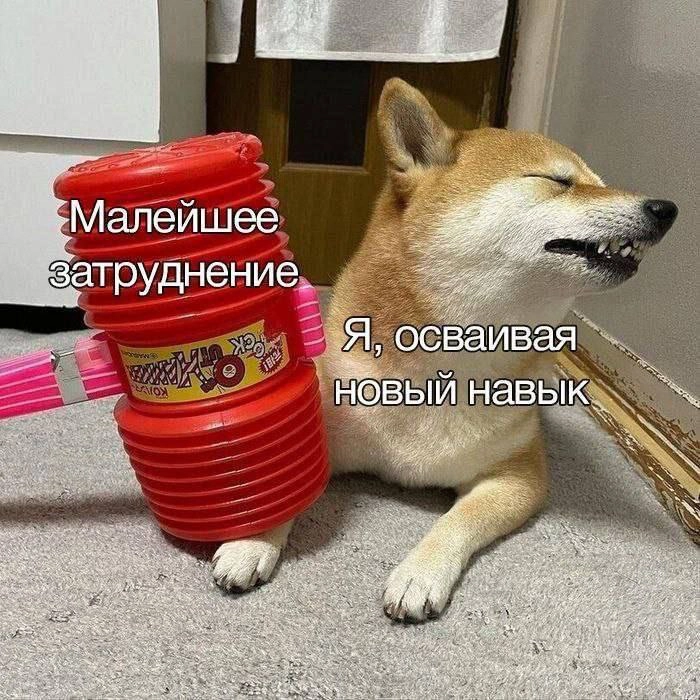 Про хорошо и плохо | Сетка — новая социальная сеть от hh.ru