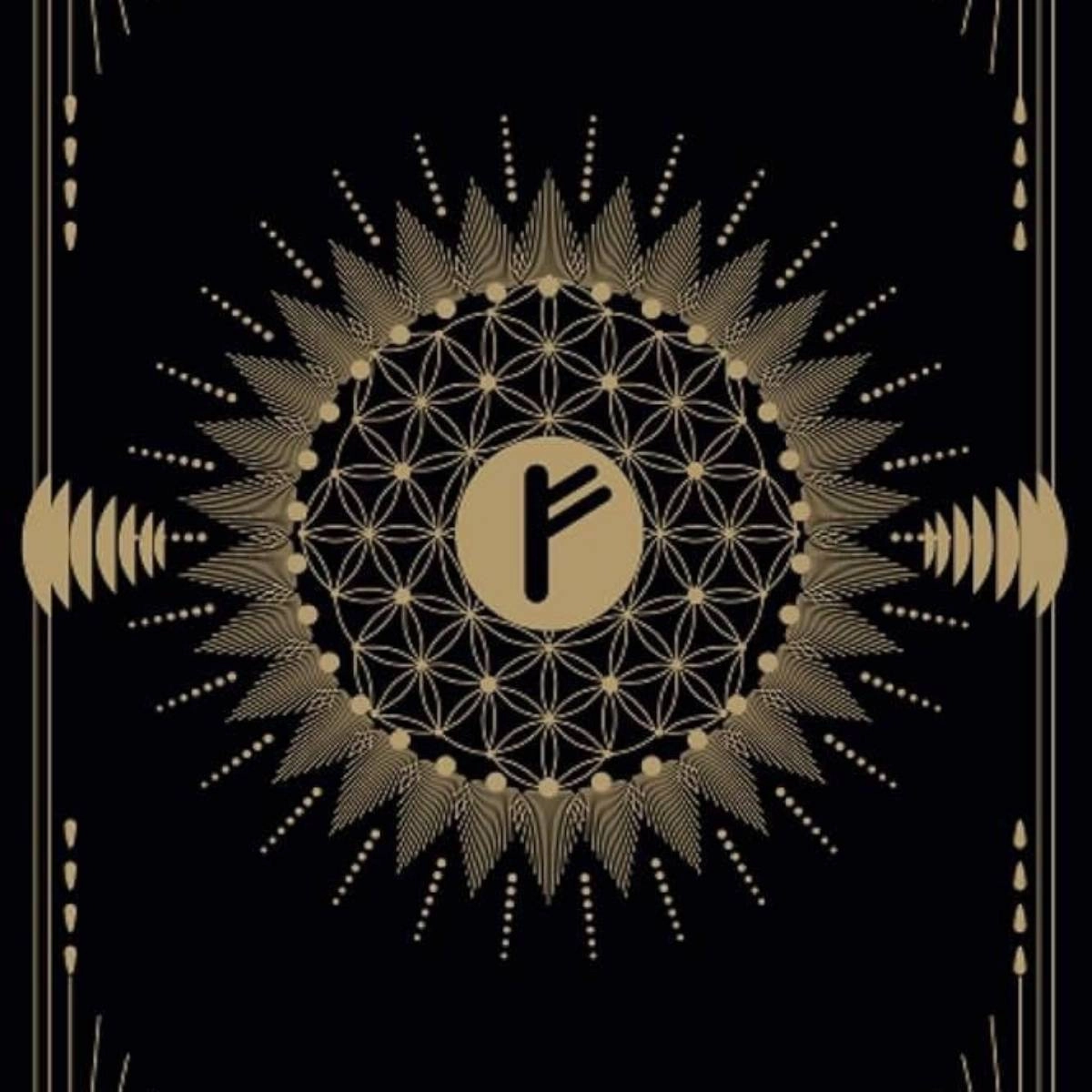 Евгений Селиверстов | Сетка — социальная сеть от hh.ru