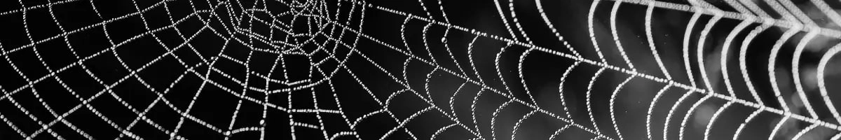 A guide to modern Kubernetes network policies
https://www.buoyant.io/blog/a-guide-to-modern-kubernetes-network-policies | Сетка — новая социальная сеть от hh.ru