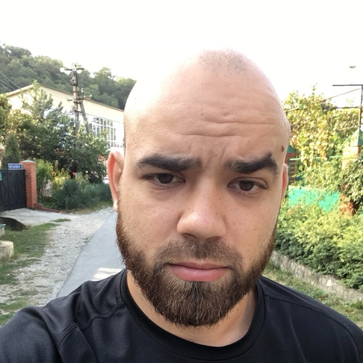 profile avatar
