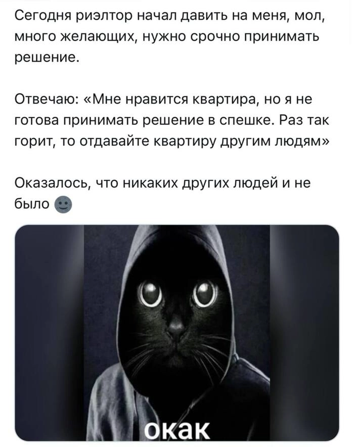 Риелторы - паразиты рынка аренды или реальная помощь? | Сетка — социальная сеть от hh.ru