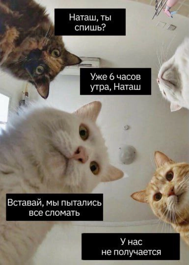 Когда нанял пентестеров после ИТ курсов | Сетка — новая социальная сеть от hh.ru