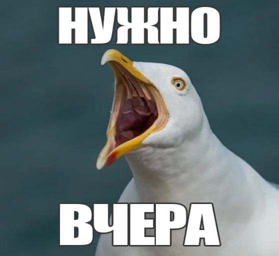🕊 Как распознать абьюзера (Чайка-менеджера) | Сетка — новая социальная сеть от hh.ru