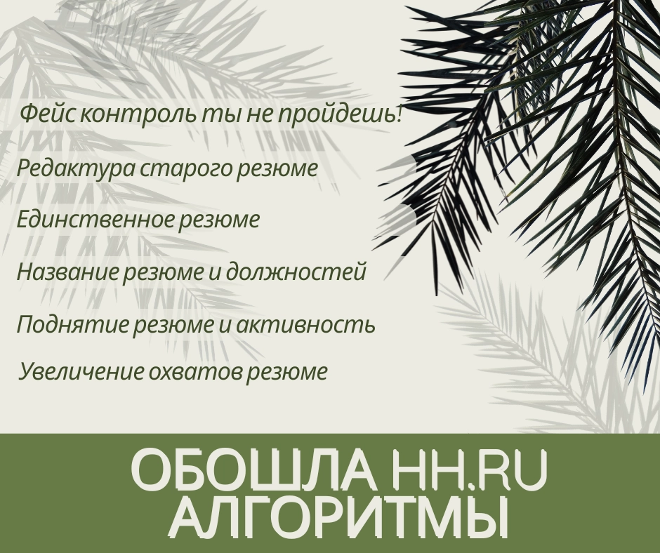 ⛔️ Как я алгоритмы HH ru обходила | Сетка — новая социальная сеть от hh.ru