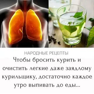 Привет, курильщики! 👋  
Хотите бросить курить и облегчить тягу к табаку? 🤔 MicroGreens from LadyMari ❤️ придет на помощь! 🌿  
Сегодня расскажем, как микрозелень поможет очистить легкие и вывести тяжел... | Сетка — социальная сеть от hh.ru