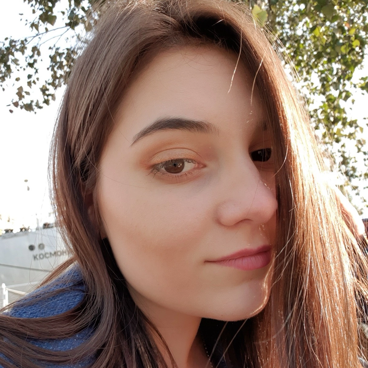 profile avatar