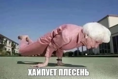 С сегодняшнего дня я официально больше не владею каким-то там доменом, который был куплен мною для демонстрации моего диплома(что было одним из требований) год назад | Сетка — новая социальная сеть от hh.ru