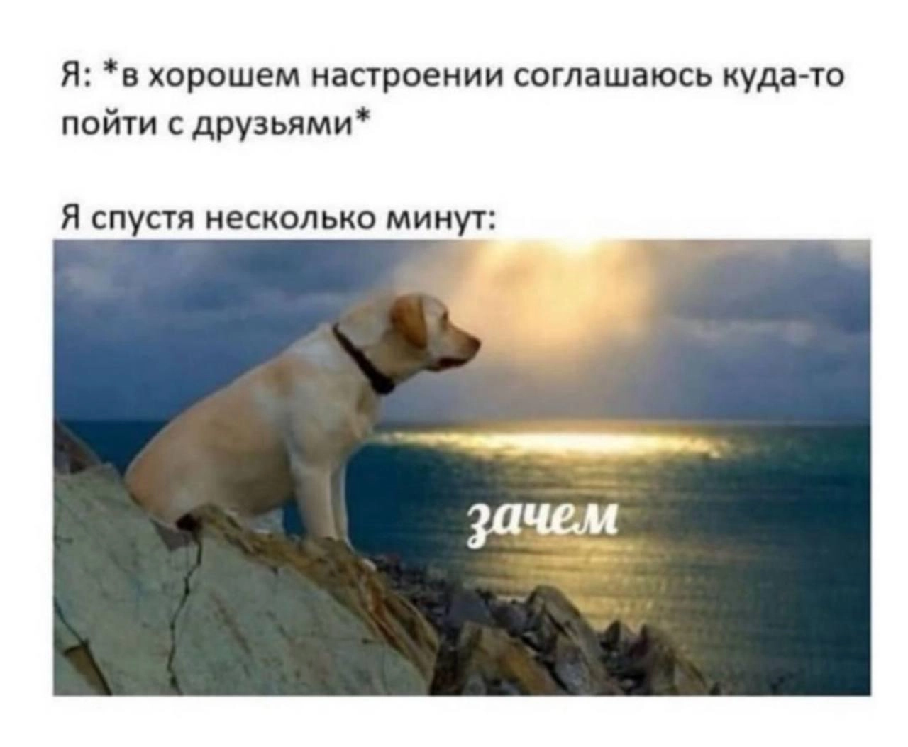 Делись в комментариях своим любимым мемом прошлой недели. 
#понирупор #мемврупор | Сетка — новая социальная сеть от hh.ru