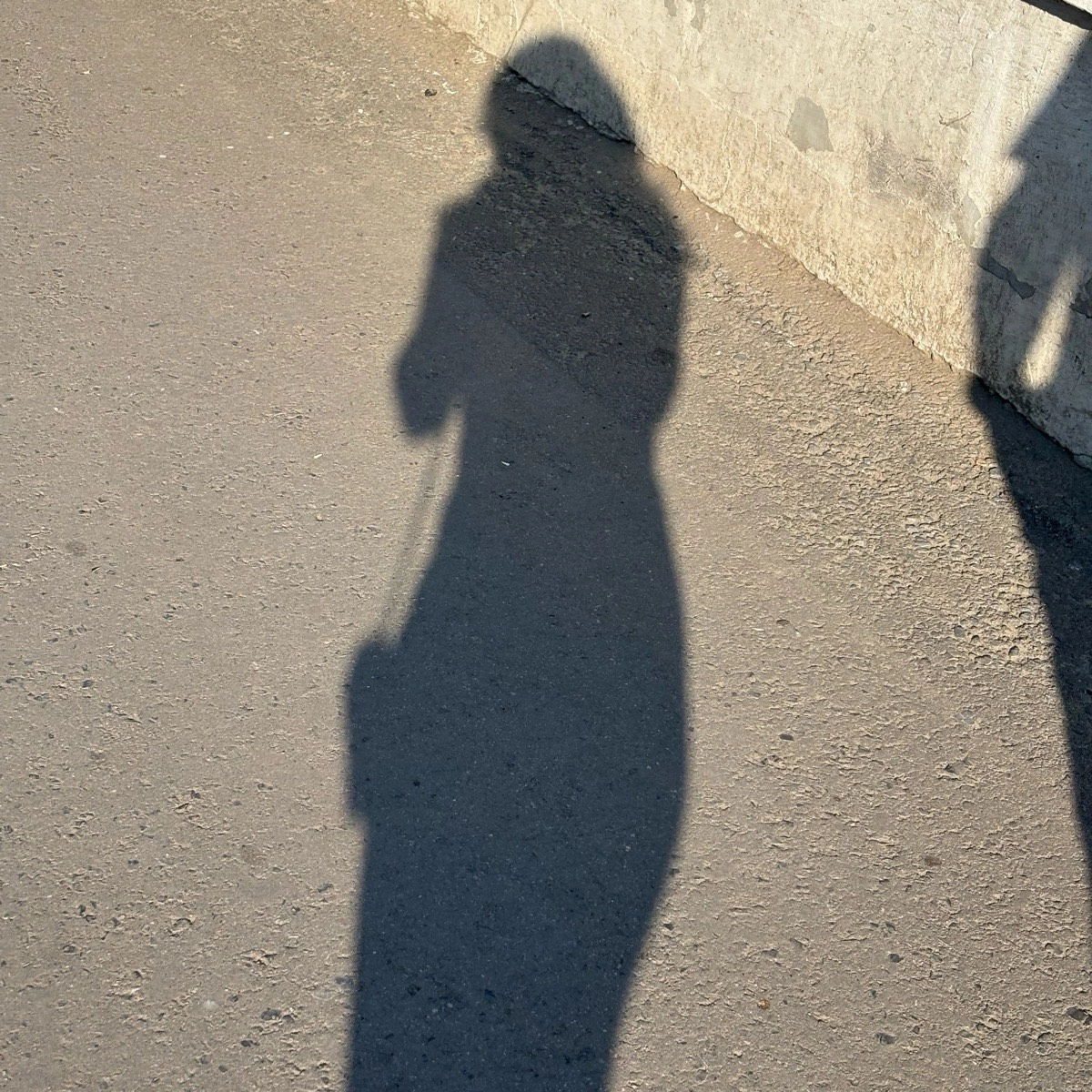 Alexandra Vasileva | Сетка — социальная сеть от hh.ru