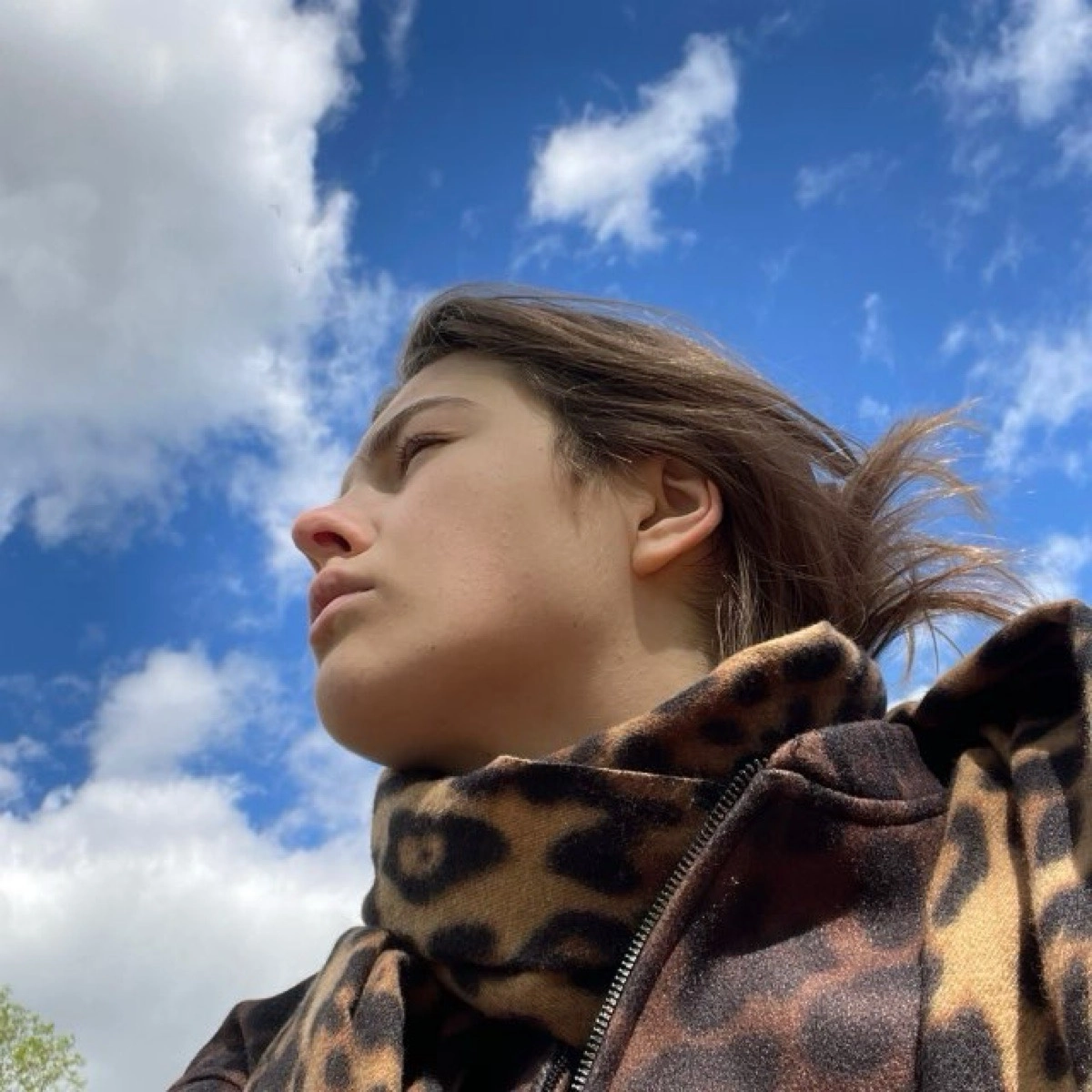 profile avatar