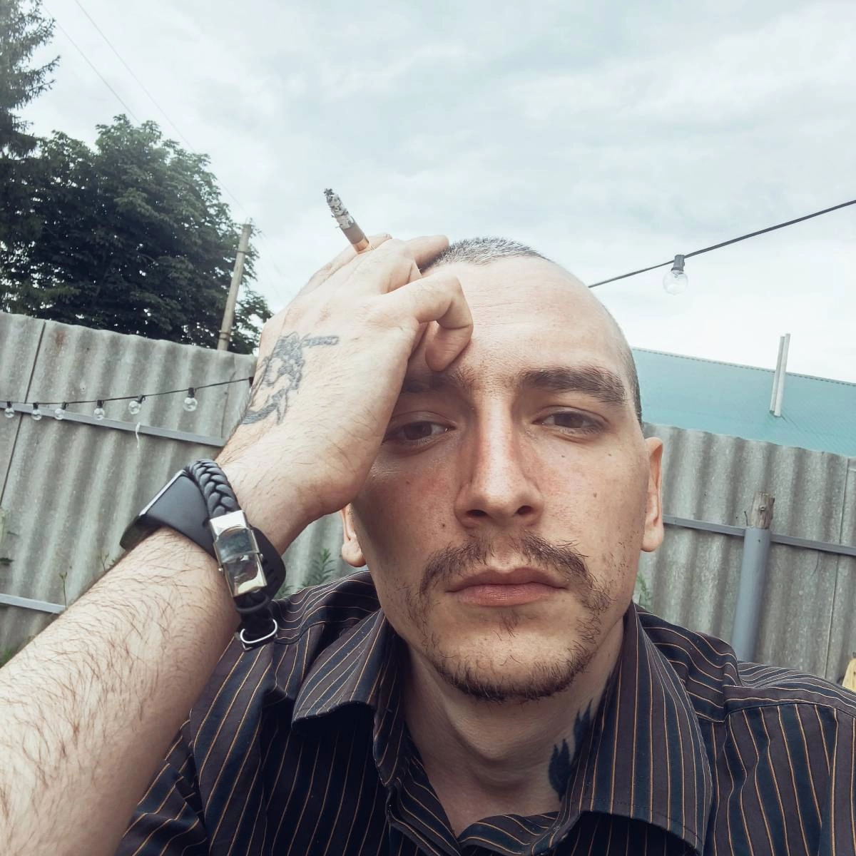 profile avatar