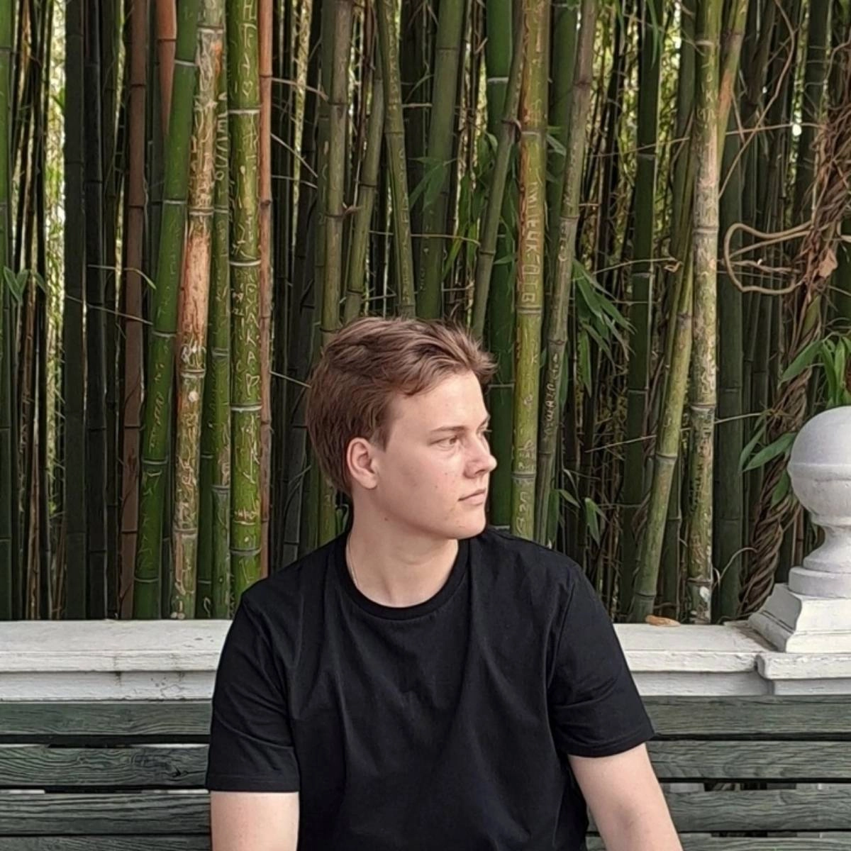 profile avatar