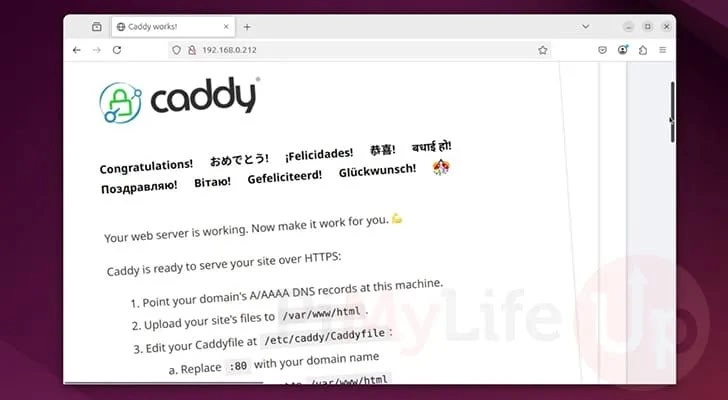 Попробовал модный веб-сервер Caddy вместо Nginx.
Обычно в архитектуре проектов я использую голый NGINX | Сетка — новая социальная сеть от hh.ru