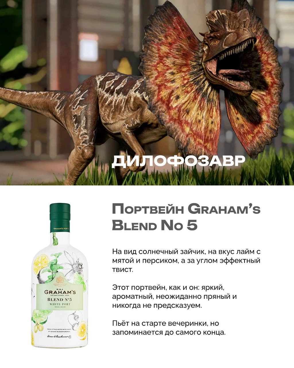 Алкодино 
Я уже писала, что важно знать, какой ты динозавр. От этого буквально зависит, что ты пьёшь.
Это юрская логика.
Вот, например, я велоцираптор. Быстрая, блестящая и всегда с пузырьками | Сетка — новая социальная сеть от hh.ru