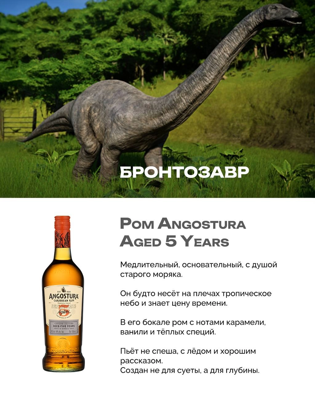 Алкодино 
Я уже писала, что важно знать, какой ты динозавр. От этого буквально зависит, что ты пьёшь.
Это юрская логика.
Вот, например, я велоцираптор. Быстрая, блестящая и всегда с пузырьками | Сетка — новая социальная сеть от hh.ru