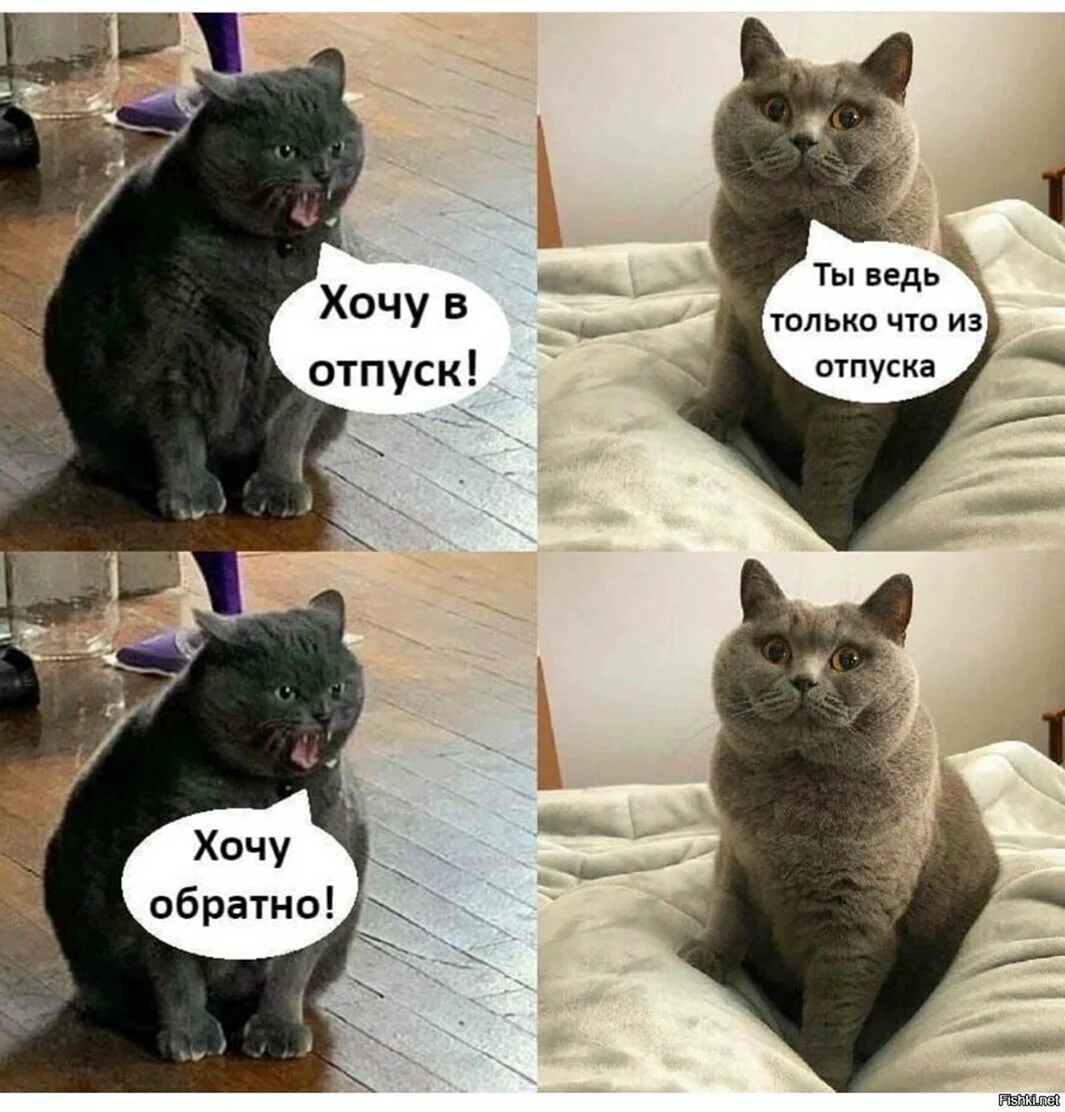 После отпуска: как вернуться в работу без стресса | Сетка — новая социальная сеть от hh.ru