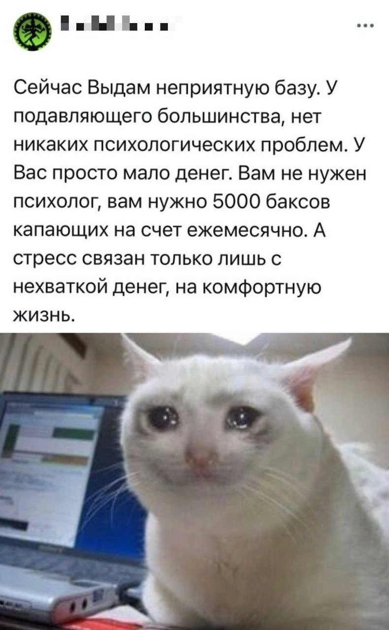 Сетка — социальная сеть от hh.ru