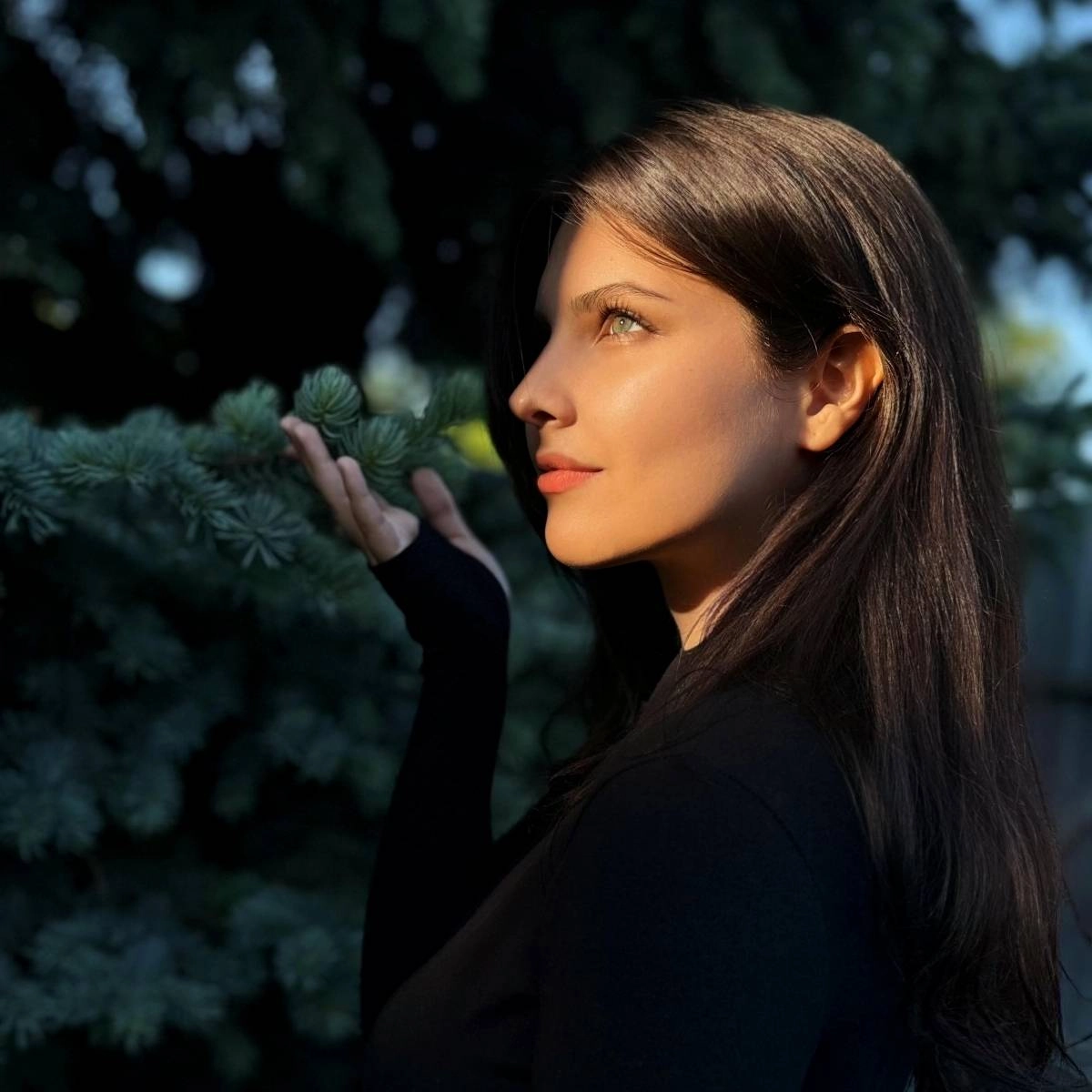 profile avatar