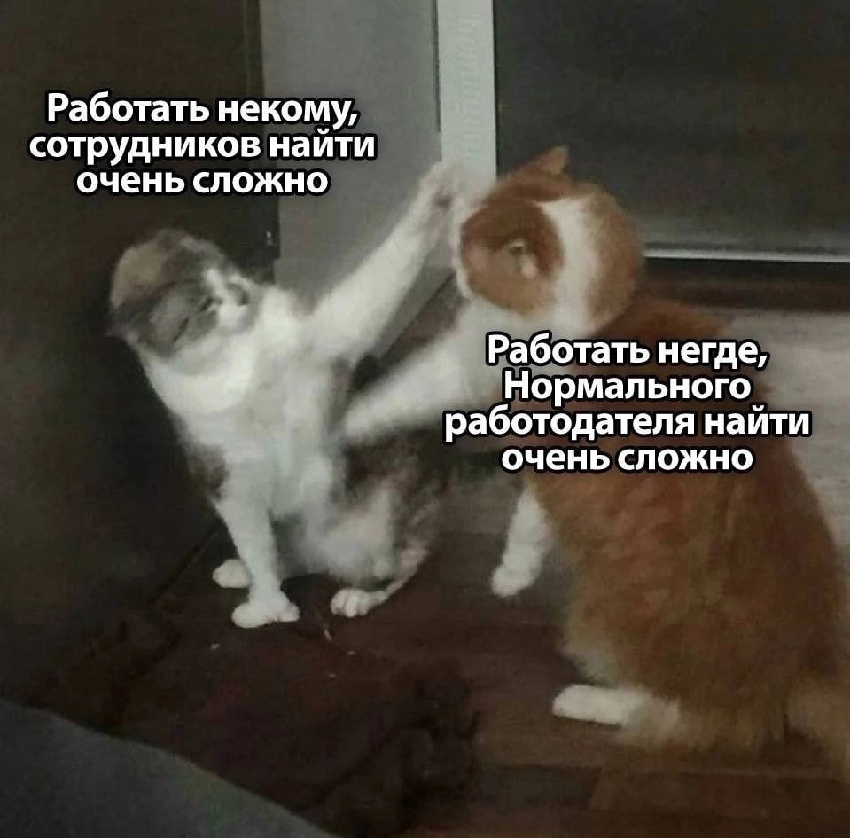Сетка — новая социальная сеть от hh.ru