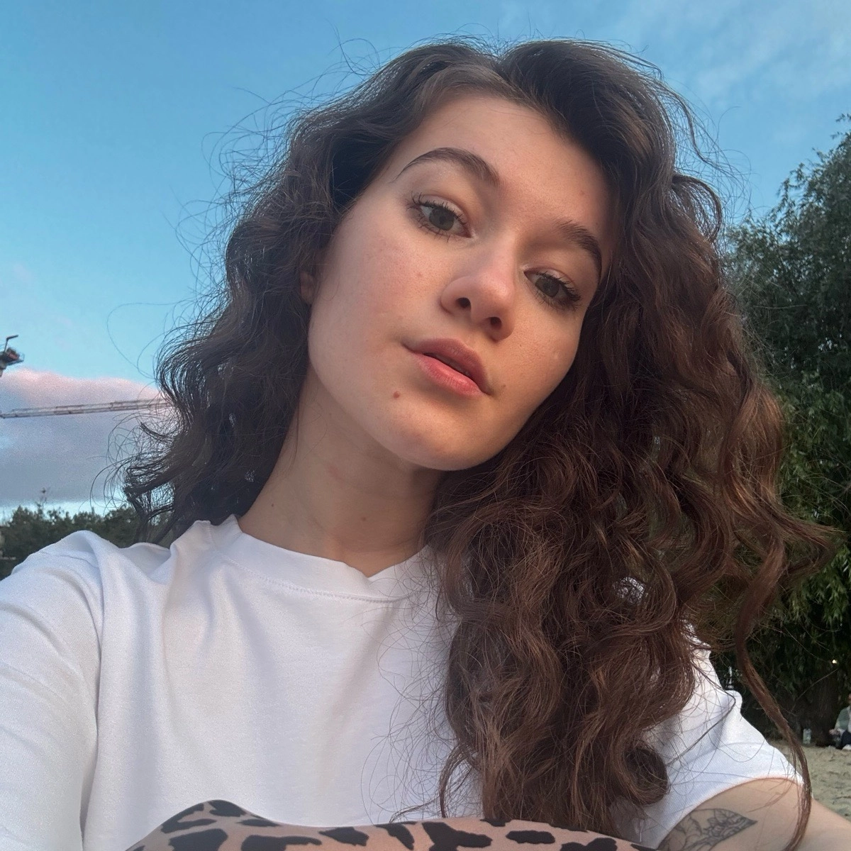 profile avatar