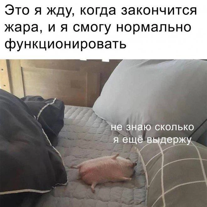 Как вы там?
Чем спасаетесь?
😉говорят, на этих или следующих выходных еще нашествие комаров запланировано. Держимся и не падаем духом 😵‍💫 | Сетка — новая социальная сеть от hh.ru