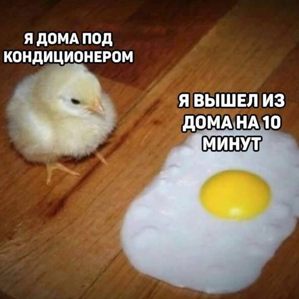 Как вы там?
Чем спасаетесь?
😉говорят, на этих или следующих выходных еще нашествие комаров запланировано. Держимся и не падаем духом 😵‍💫 | Сетка — новая социальная сеть от hh.ru