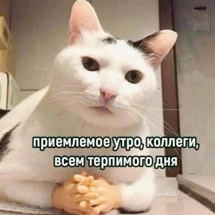 Что ж, коллеги
Пятница, терпимого дня, не забудьте уйти пораньше из офиса 😓 | Сетка — социальная сеть от hh.ru