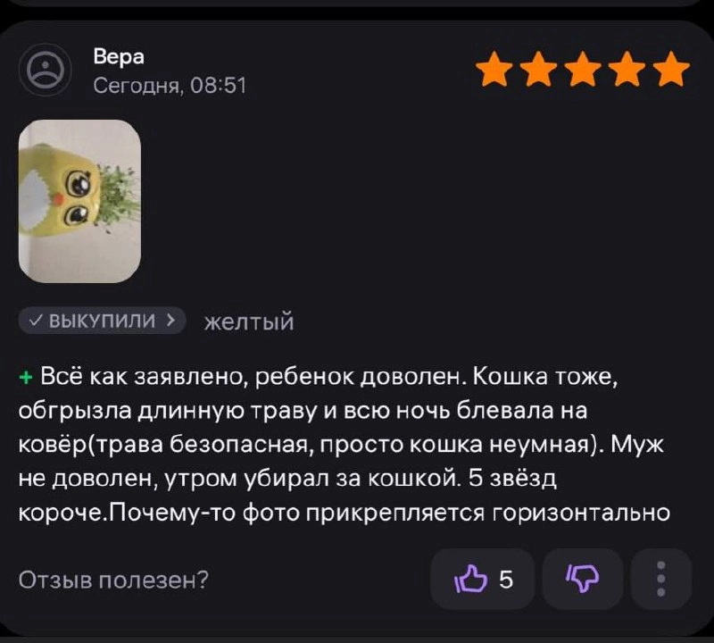 Ничего эпичнее вы уже сегодня не прочтете 💯
Отдел репутации SMMagic сделал подборку зашкварных отзывов спешл для вас, дорогие | Сетка — социальная сеть от hh.ru