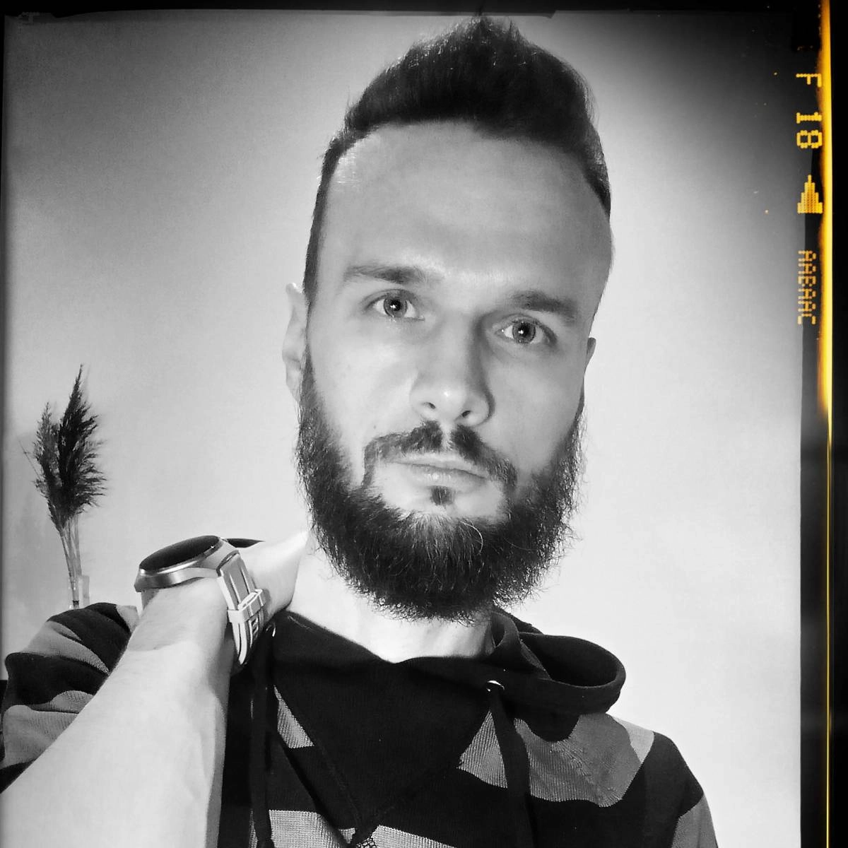 profile avatar