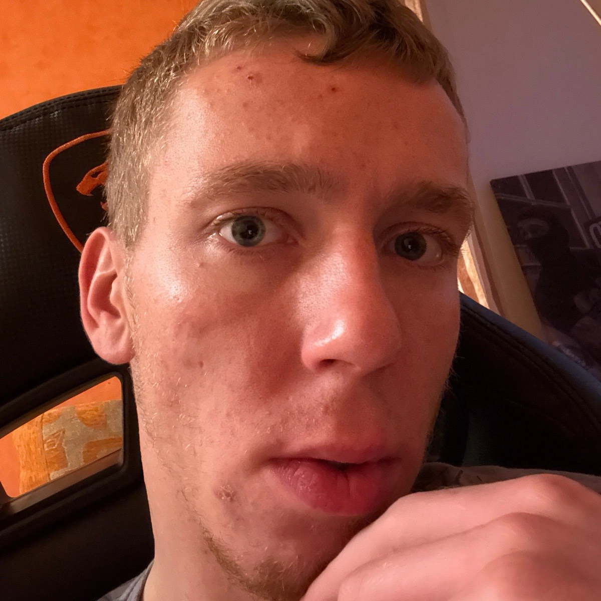 profile avatar