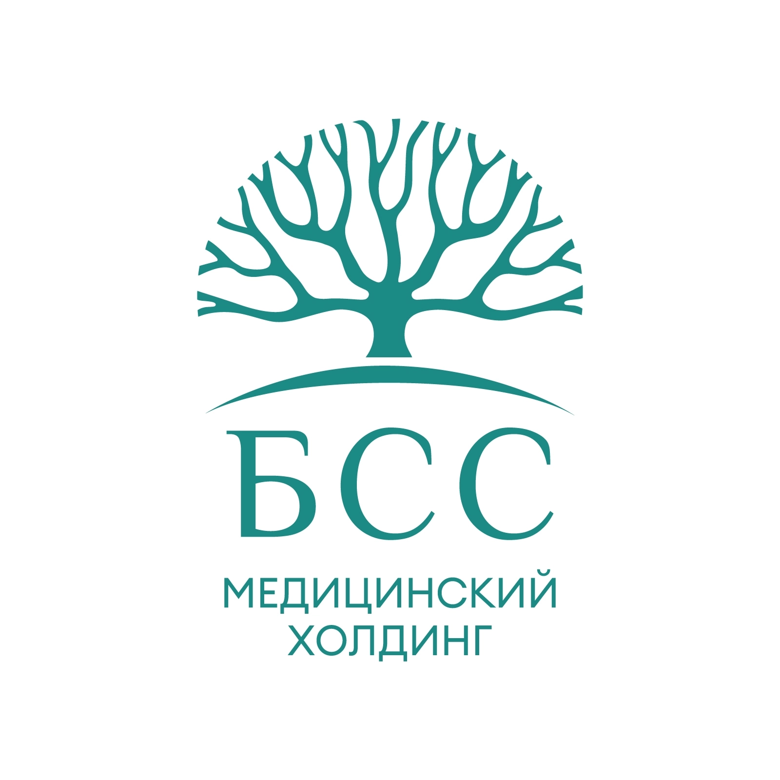 Медицинский холдинг БСС