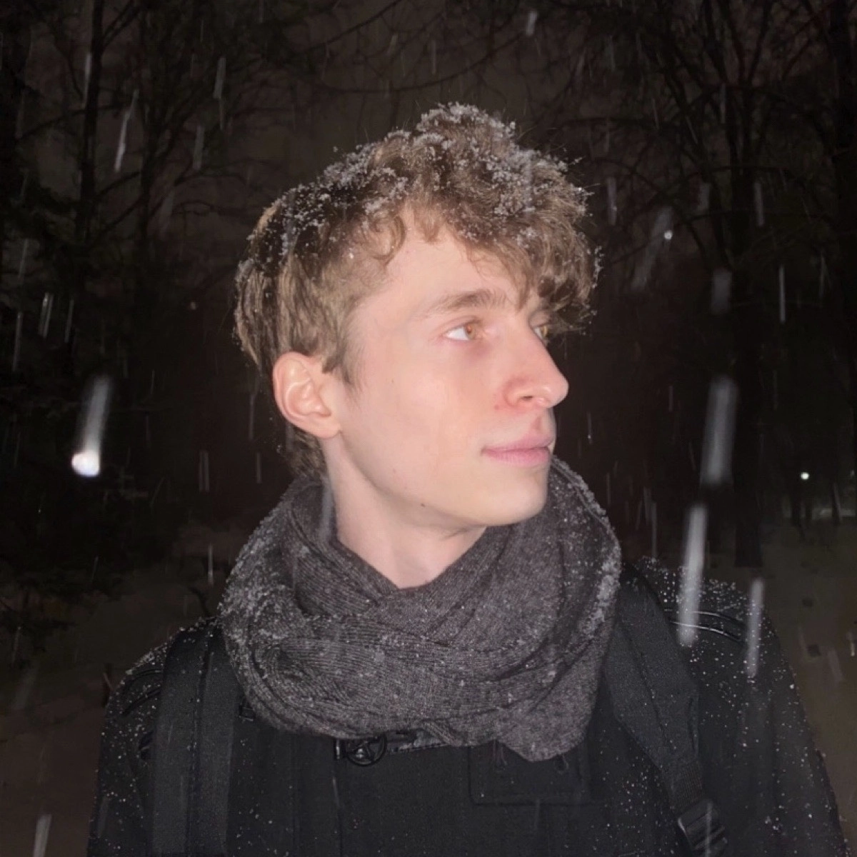profile avatar
