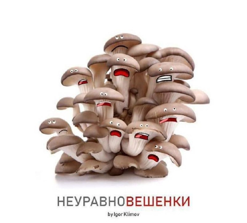 Сетка — новая социальная сеть от hh.ru