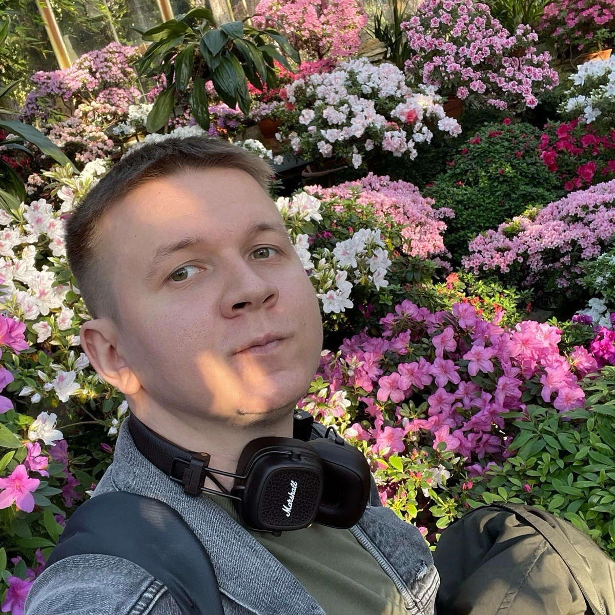 profile avatar