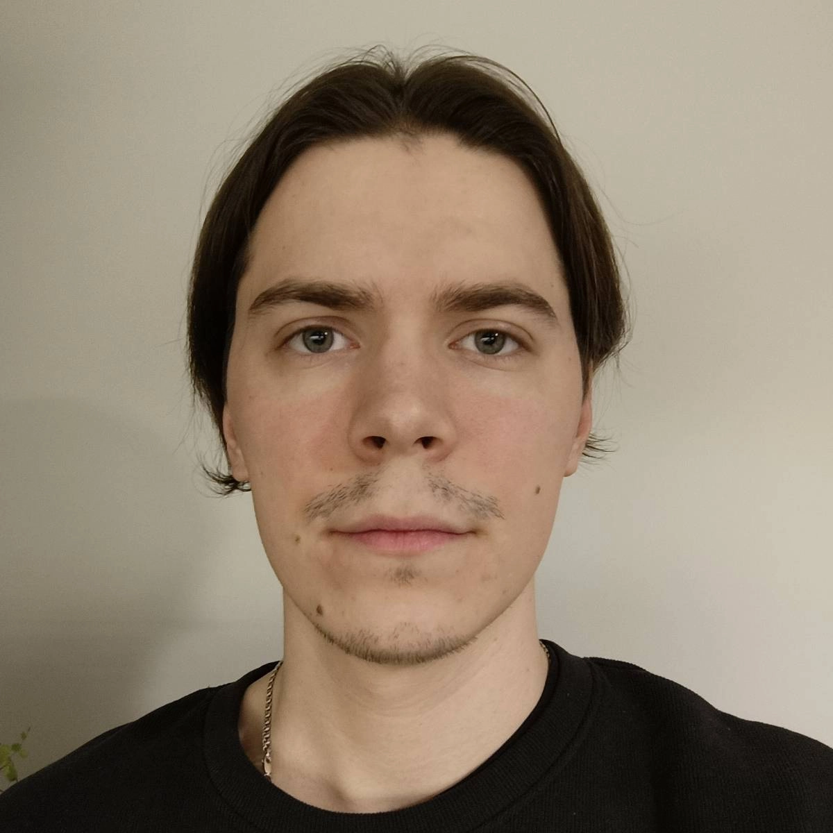 Stepan Smirnov | Сетка — социальная сеть от hh.ru