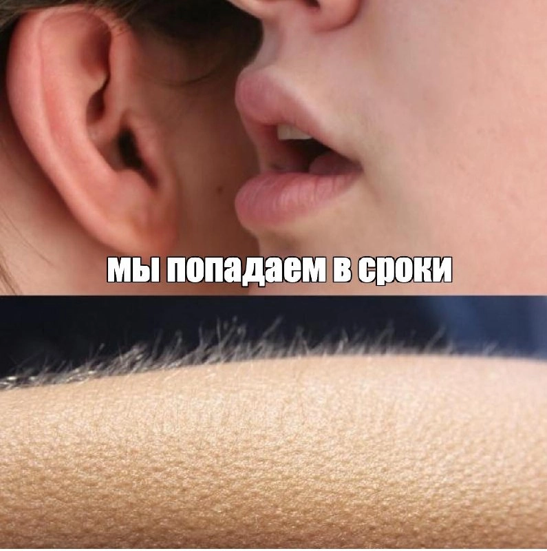 мед на уши | Сетка — социальная сеть от hh.ru