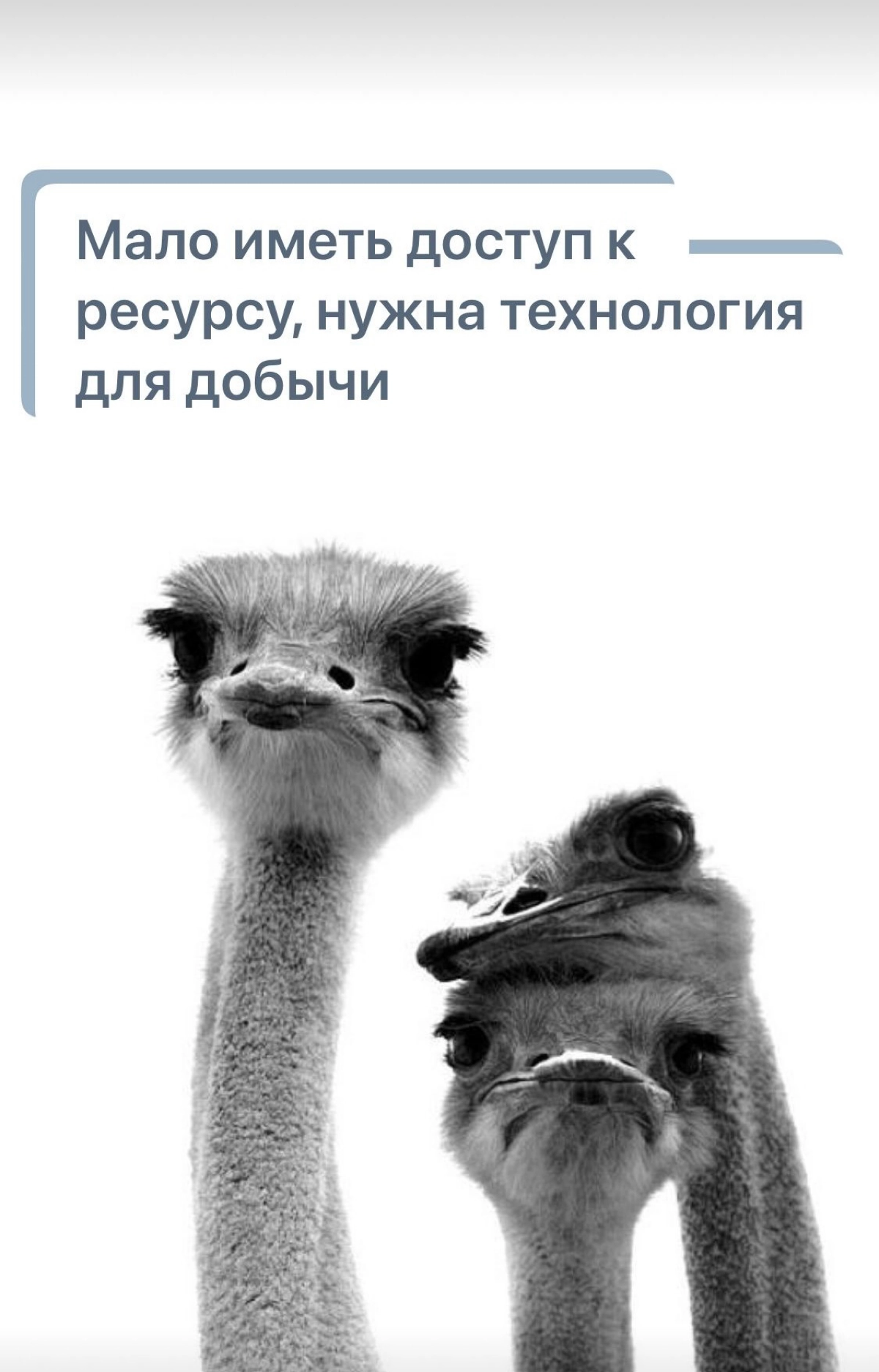Когда СЕО провалил проект | Сетка — новая социальная сеть от hh.ru