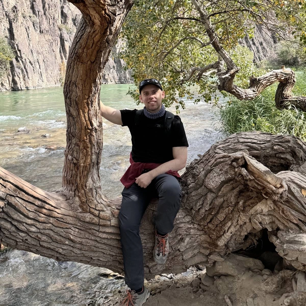 Network member avatar