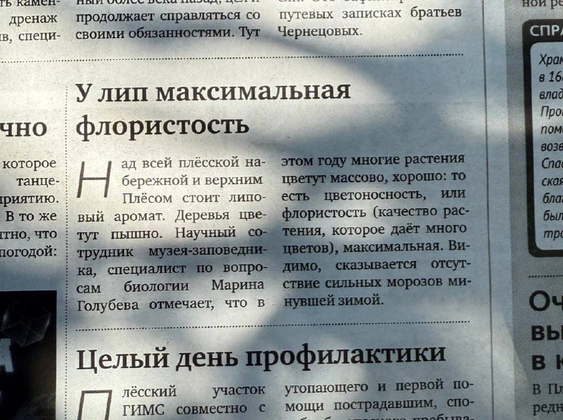 Если читать заметки в газете, то только такие. | Сетка — социальная сеть от hh.ru