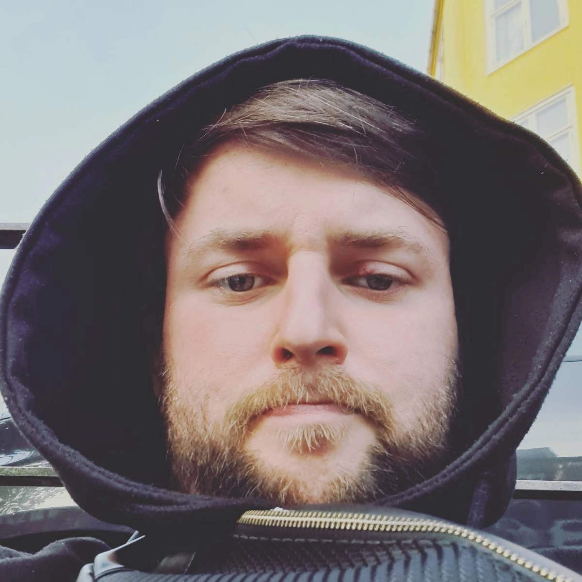 profile avatar