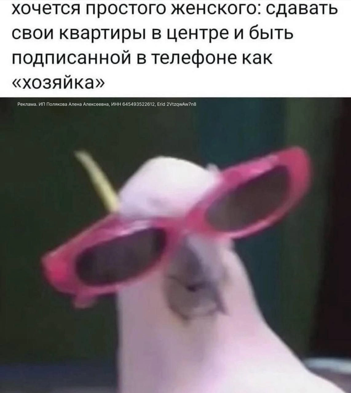про солнечное айти
вы видели вообще эти цены?! строчку «стрессоустойчивая» смело убираем из резюме.
как и «старалась», «помогала команде» и прочие мягкие формулировки | Сетка — социальная сеть от hh.ru