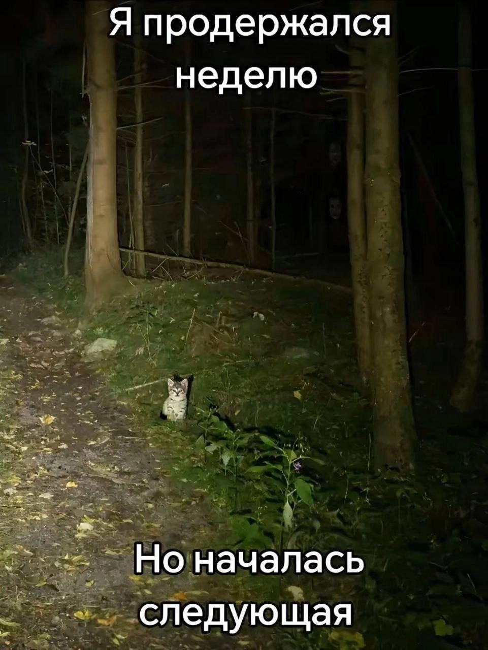 Финальная неделя перед отпуском, держусь изо всех сил, чтобы не уехать в лес как этот кот
Умные посты хорошо, но мем посмеяться в понедельник утром важнее 😎
Подписывайтесь: Мастерская карьеры | Эльмин... | Сетка — социальная сеть от hh.ru